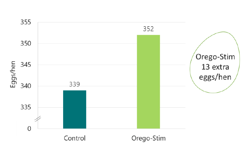 Results Graph